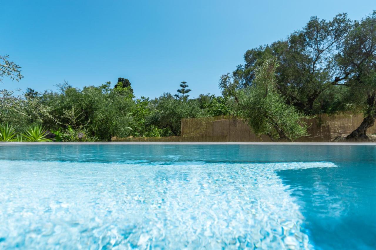 Lazaros Hotel Resort Tsilivi  Exteriör bild